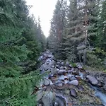 Royal Towers 200m From Skilift بانسكو