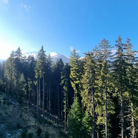 Royal Towers 200m From Skilift Apartment Bansko