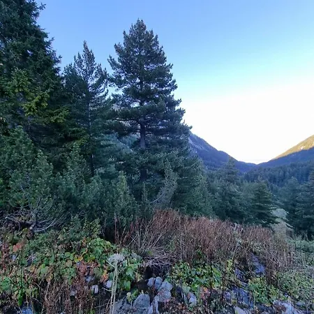 Royal Towers 200m From Skilift