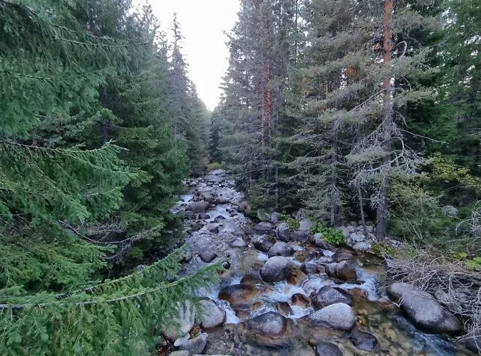 Royal Towers 200m From Skilift 班斯科