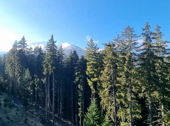 Royal Towers 200m From Skilift Apartment Bansko