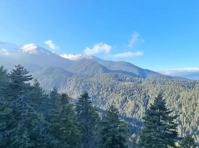 Royal Towers 200m From Skilift 公寓 班斯科