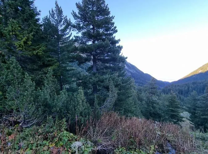 Royal Towers 200m From Skilift