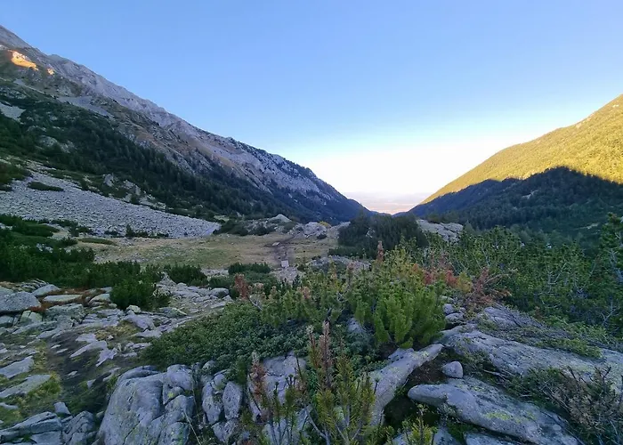 Royal Towers 200m From Skilift * 班斯科