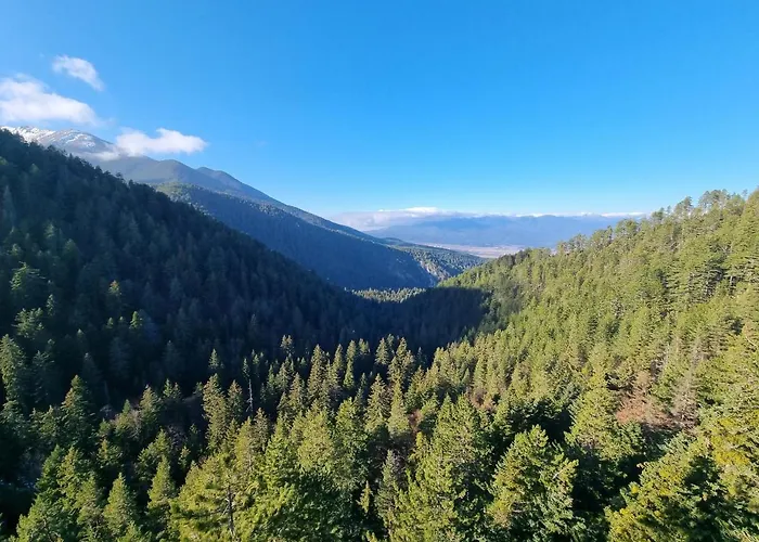 公寓 Royal Towers 200m From Skilift